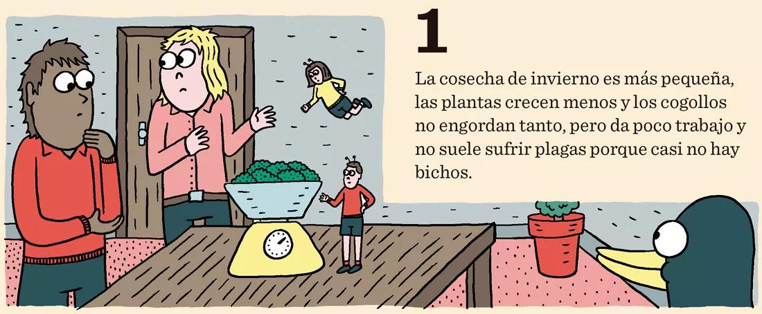 Siembra en diciembre: doce trucos y consejos