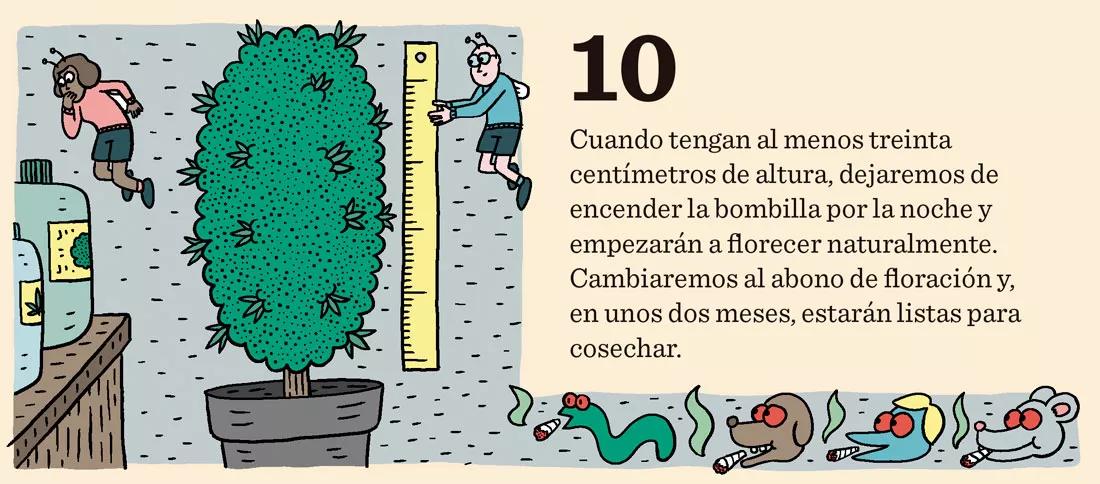 Siembra en diciembre: doce trucos y consejos
