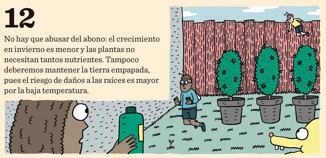 Siembra en diciembre: doce trucos y consejos