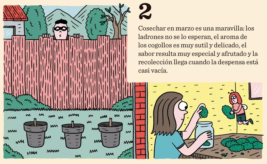 Siembra en diciembre: doce trucos y consejos