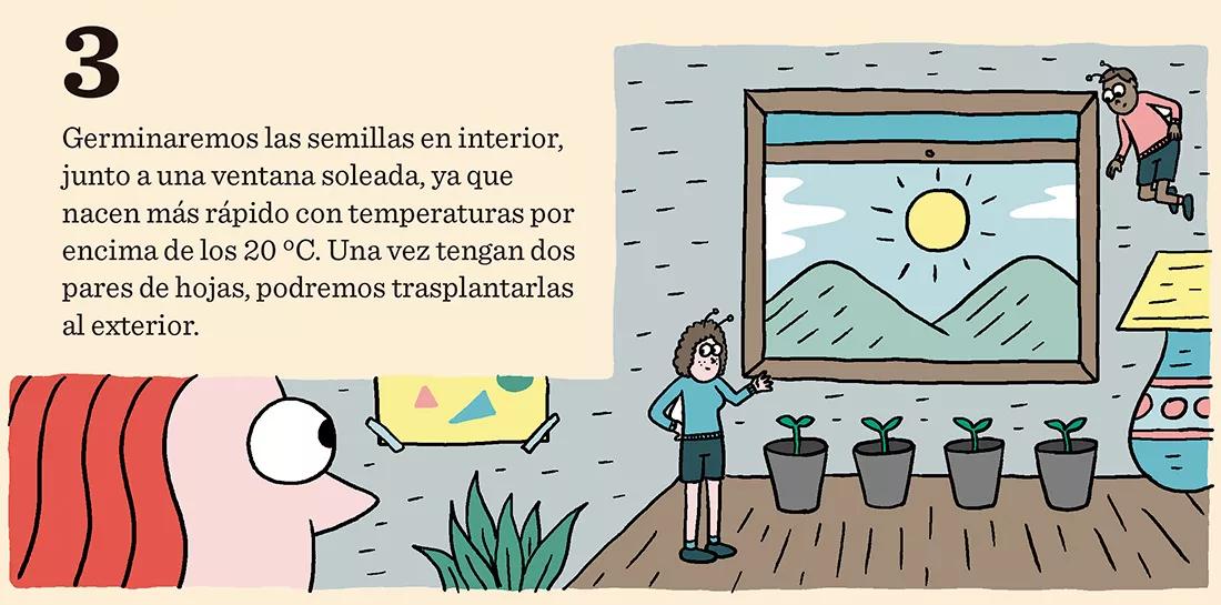 Siembra en diciembre: doce trucos y consejos