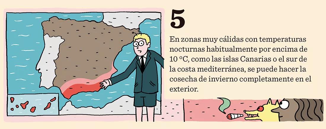 Siembra en diciembre: doce trucos y consejos