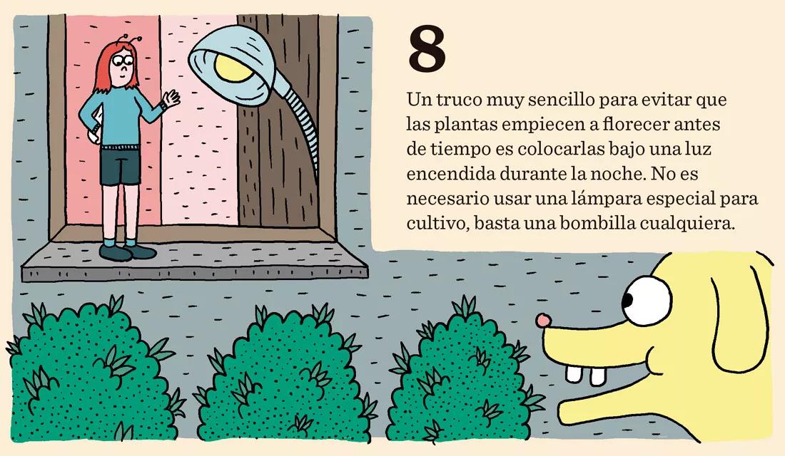 Siembra en diciembre: doce trucos y consejos