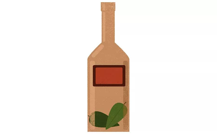 El uso de la ayahuasca como herramienta terapéutica en el alcoholismo