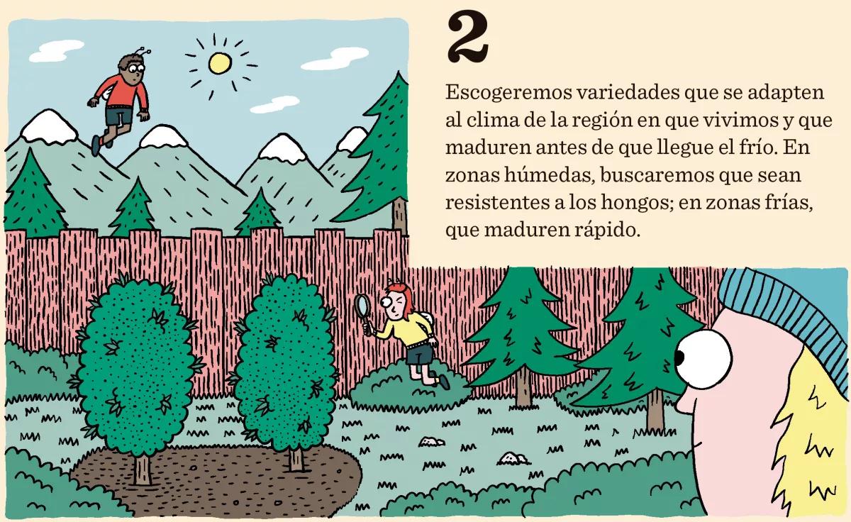 Diez consejos para escoger semillas