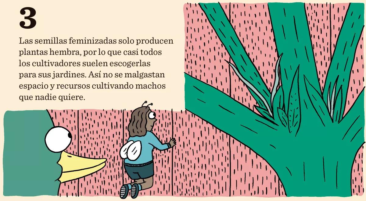Diez consejos para escoger semillas