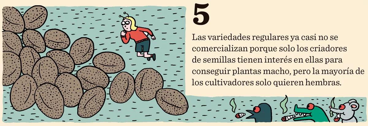 Diez consejos para escoger semillas
