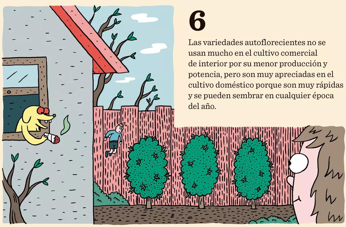 Diez consejos para escoger semillas