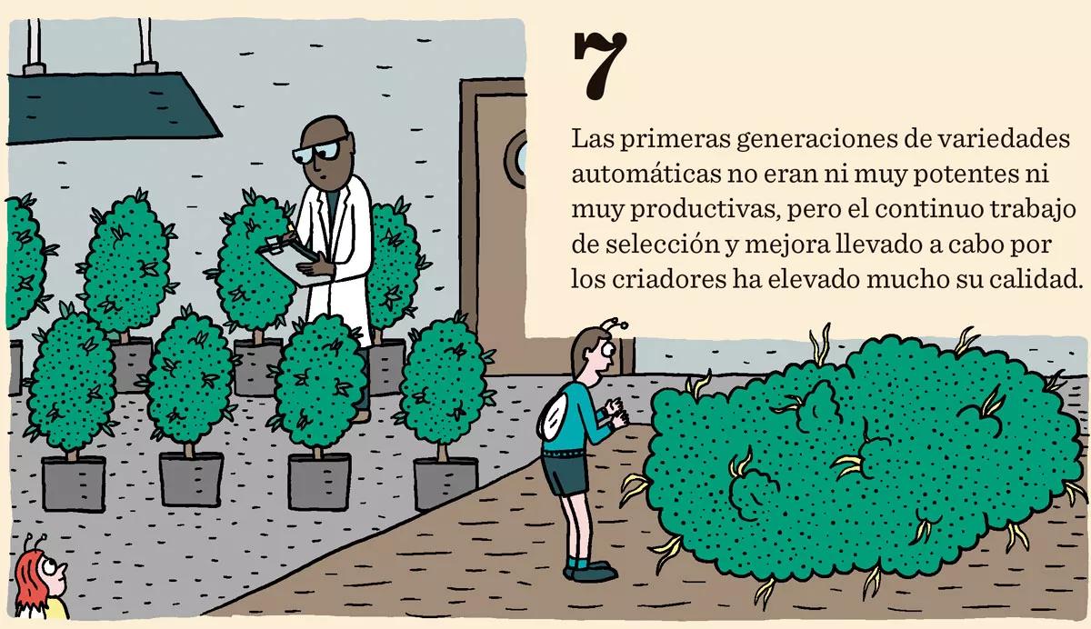 Diez consejos para escoger semillas