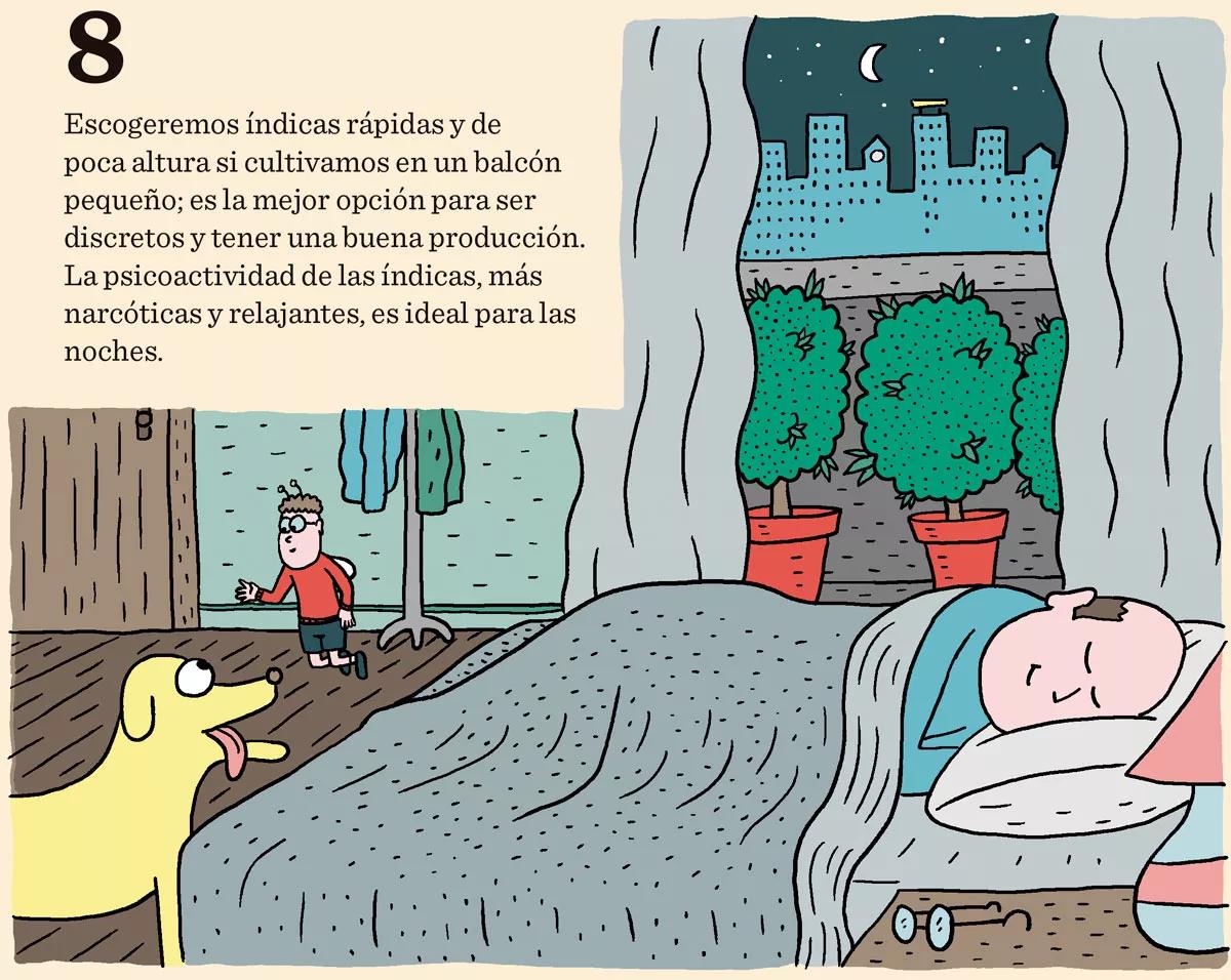Diez consejos para escoger semillas