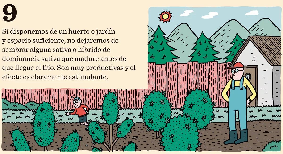 Diez consejos para escoger semillas