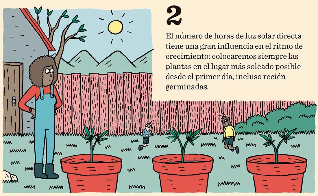 Ocho trucos para la fase de crecimiento