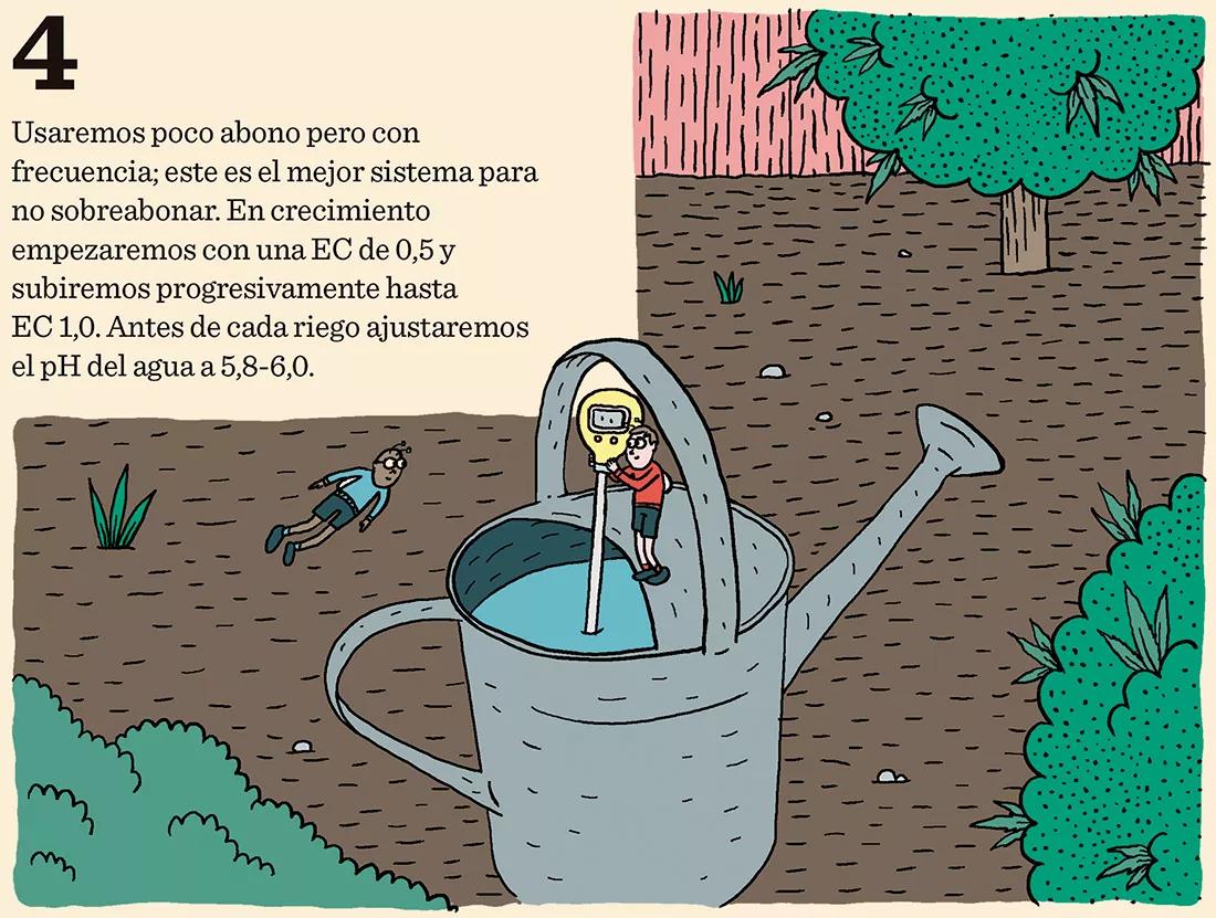 Ocho trucos para la fase de crecimiento