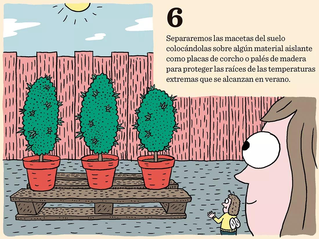Ocho trucos para la fase de crecimiento
