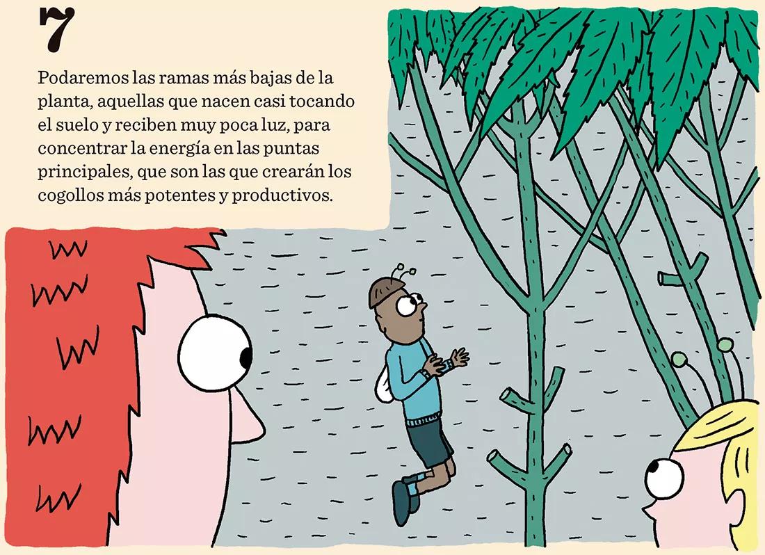 Ocho trucos para la fase de crecimiento
