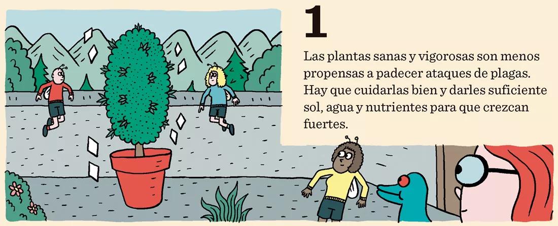 Cómo prevenir los bichos: diez trucos para evitar plagas