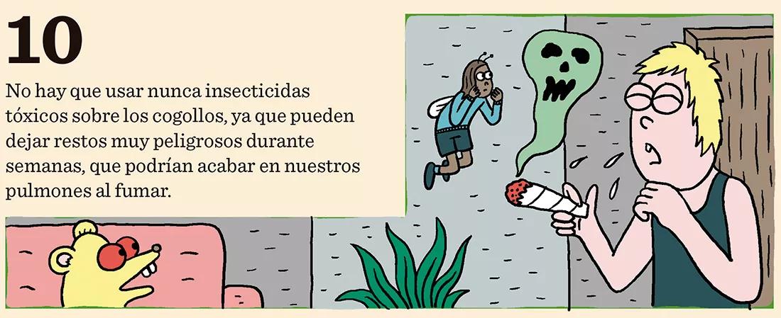 Cómo prevenir los bichos: diez trucos para evitar plagas