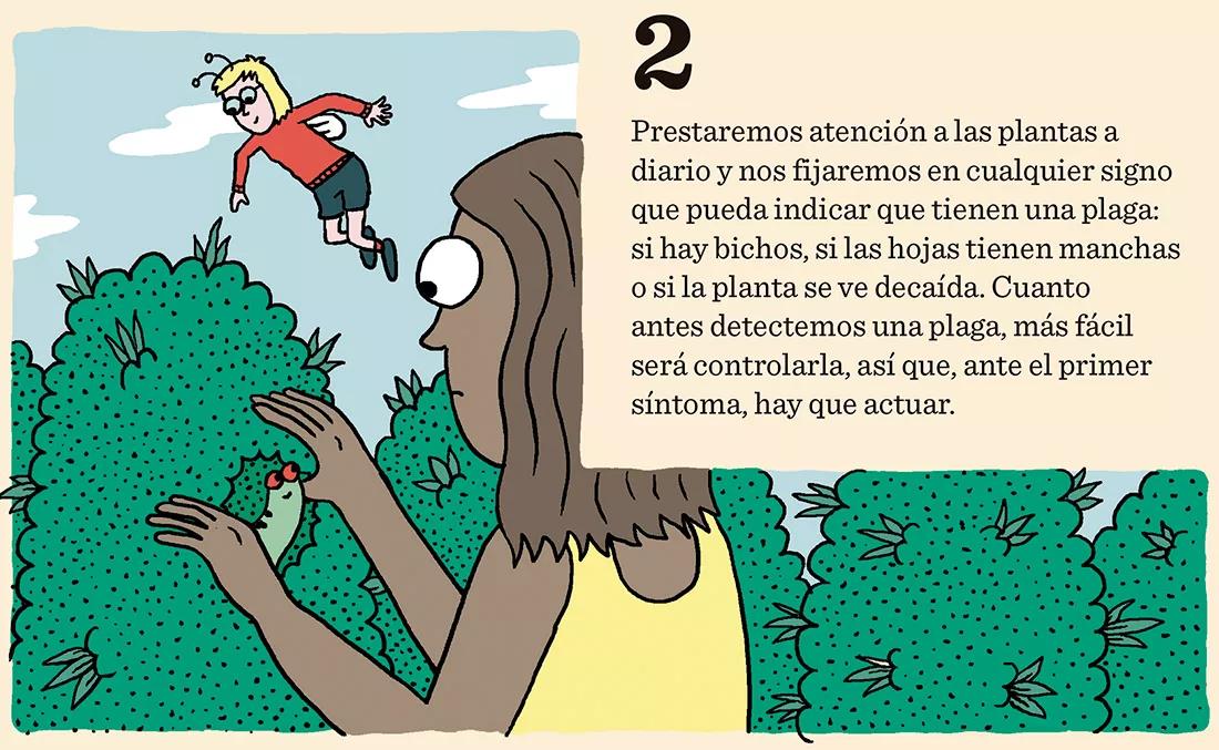 Cómo prevenir los bichos: diez trucos para evitar plagas