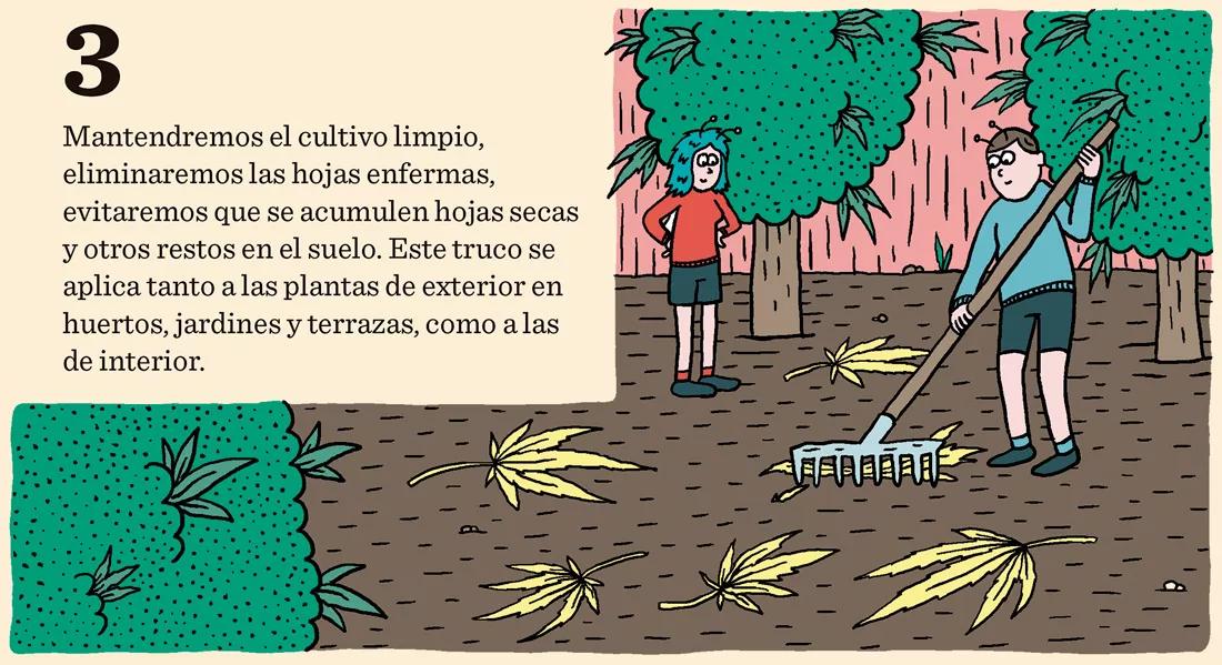 Cómo prevenir los bichos: diez trucos para evitar plagas