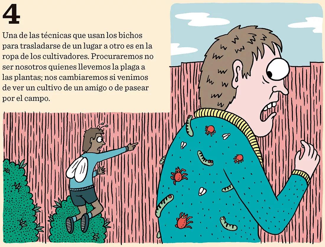 Cómo prevenir los bichos: diez trucos para evitar plagas