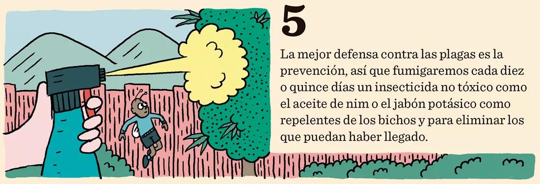 Cómo prevenir los bichos: diez trucos para evitar plagas