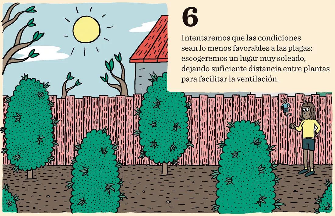 Cómo prevenir los bichos: diez trucos para evitar plagas