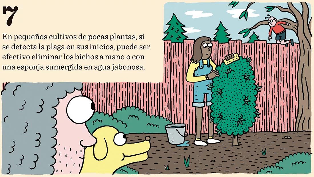 Cómo prevenir los bichos: diez trucos para evitar plagas