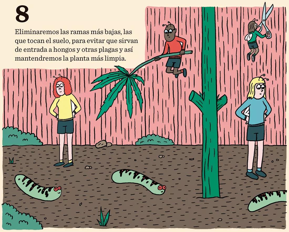Cómo prevenir los bichos: diez trucos para evitar plagas