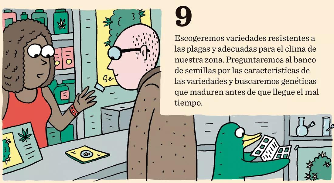 Cómo prevenir los bichos: diez trucos para evitar plagas