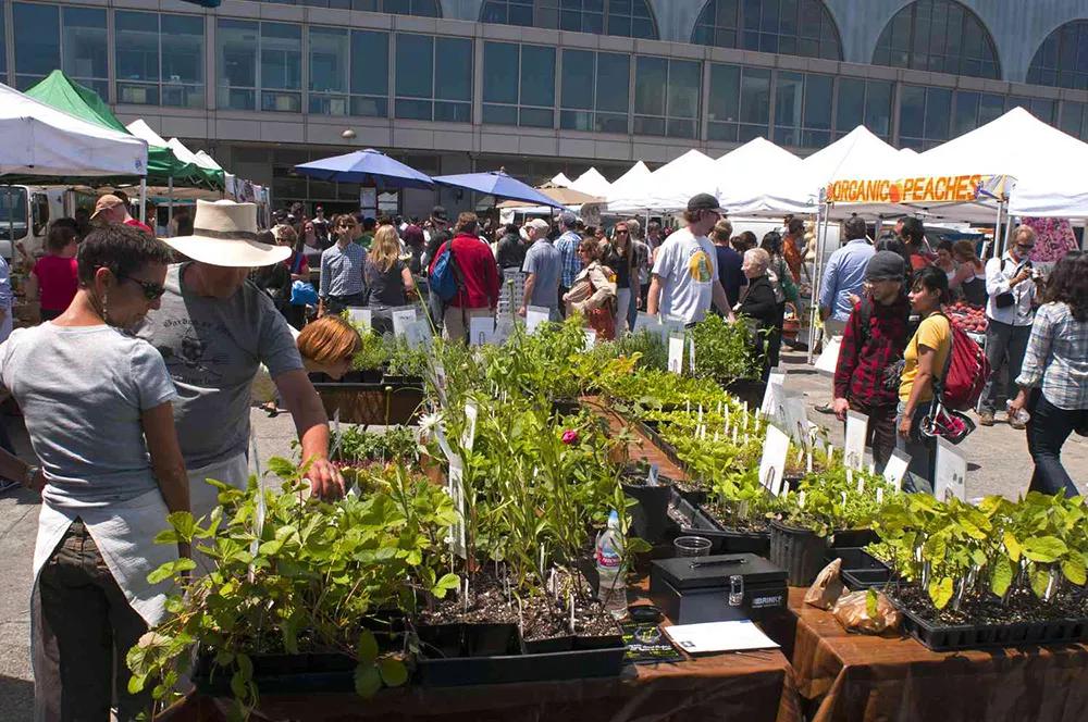 Este verano se venderá marihuana en los mercadillos de Nueva York