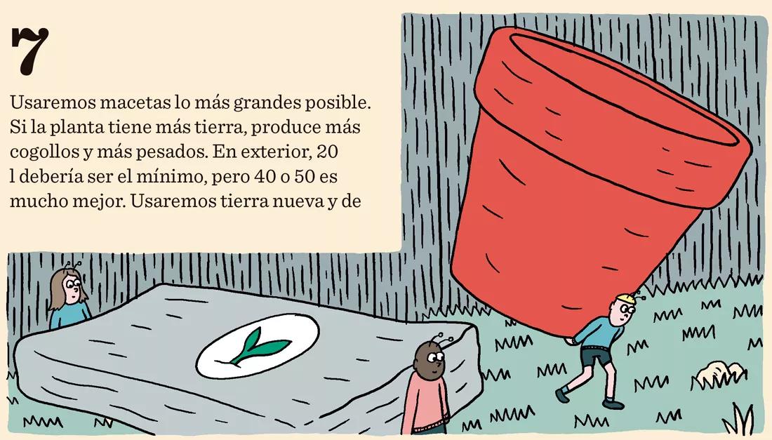 Usaremos macetas lo más grandes posible. Si la planta tiene más tierra, produce más cogollos y más pesados. En exterior, 20 l debería ser el mínimo, pero 40 o 50 es mucho mejor. Usaremos tierra nueva y de calidad.
