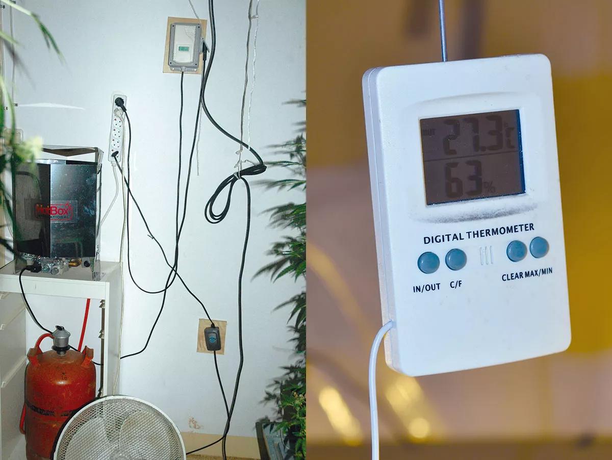 Calor y cultivo interior: cómo gestionar el verano
