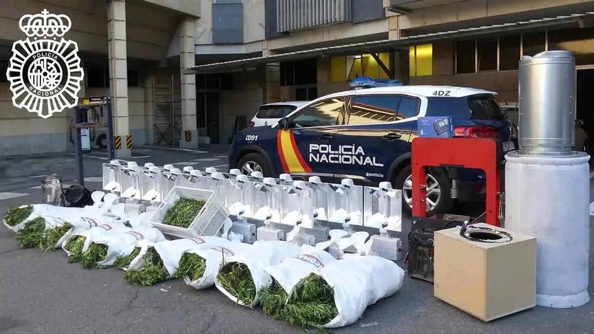 Descubren una plantación de marihuana móvil oculta en el remolque de un camión