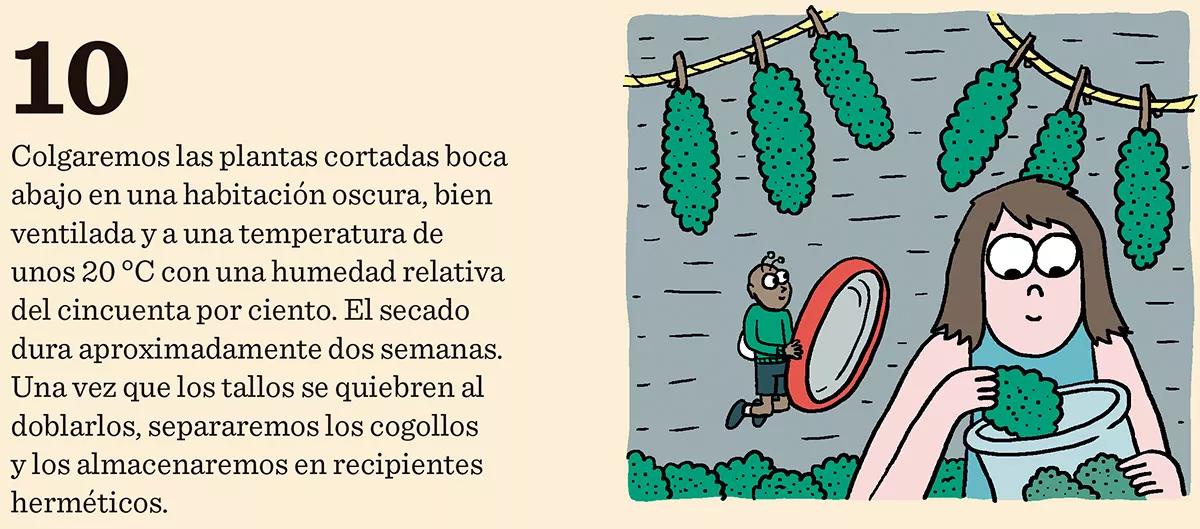 Diez trucos para lograr la mejor cosecha