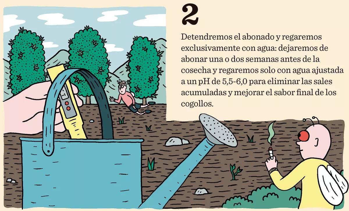 Diez trucos para lograr la mejor cosecha
