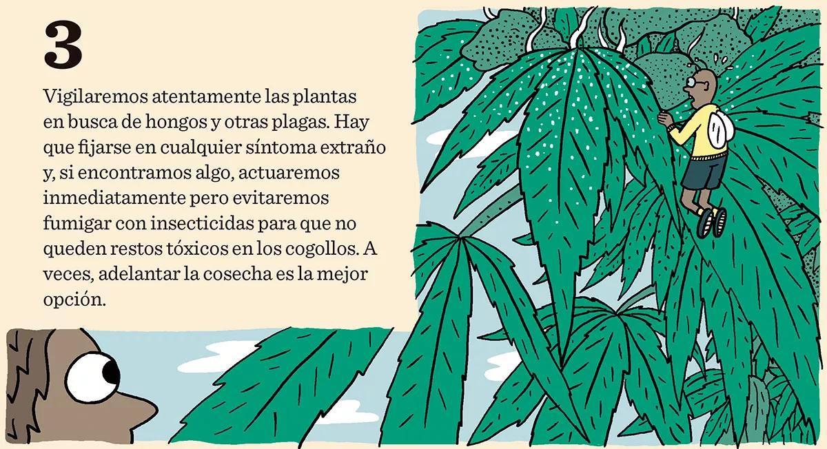 Diez trucos para lograr la mejor cosecha