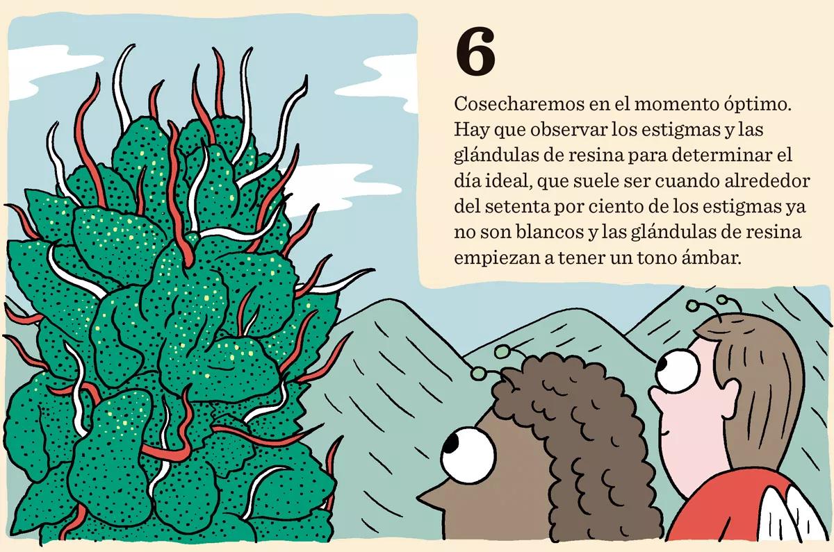 Diez trucos para lograr la mejor cosecha