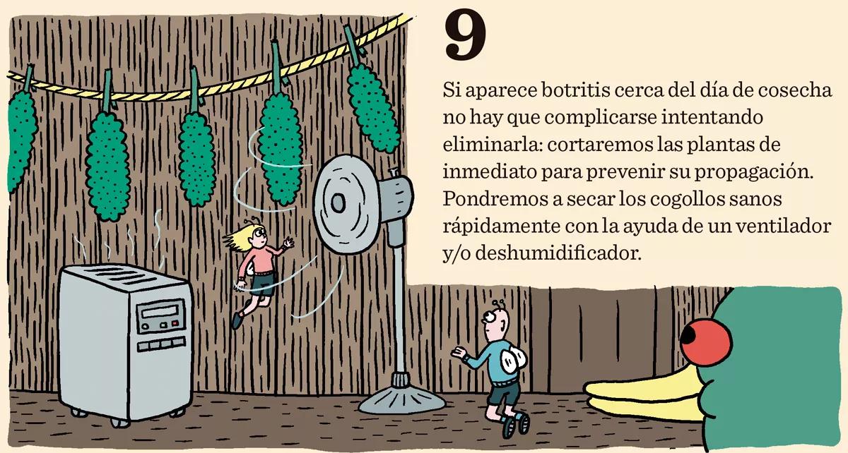 Diez trucos para lograr la mejor cosecha