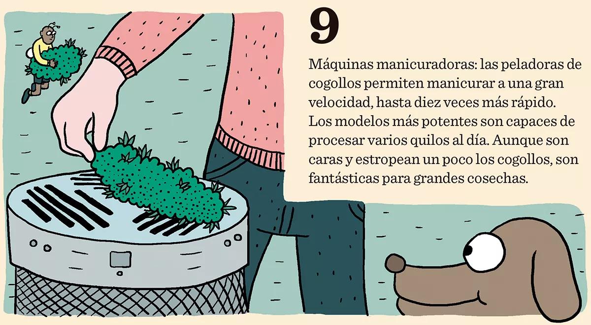 Diez trucos para automatizar un cultivo de interior