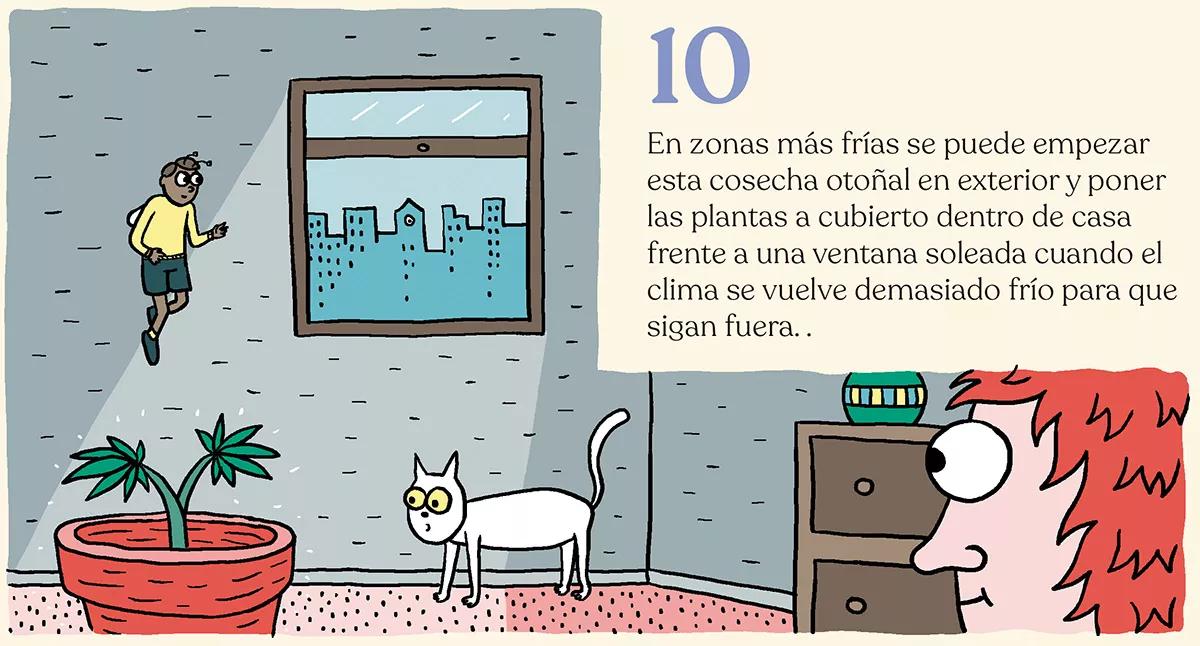 Diez trucos para planificar la temporada de cultivo