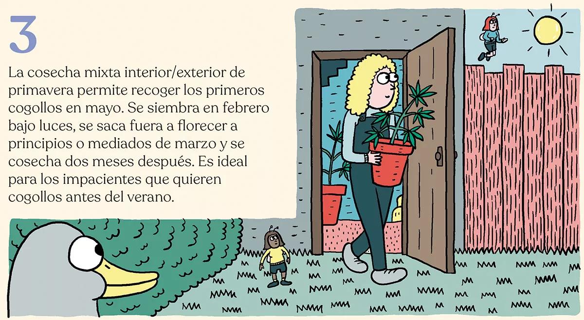 Diez trucos para planificar la temporada de cultivo