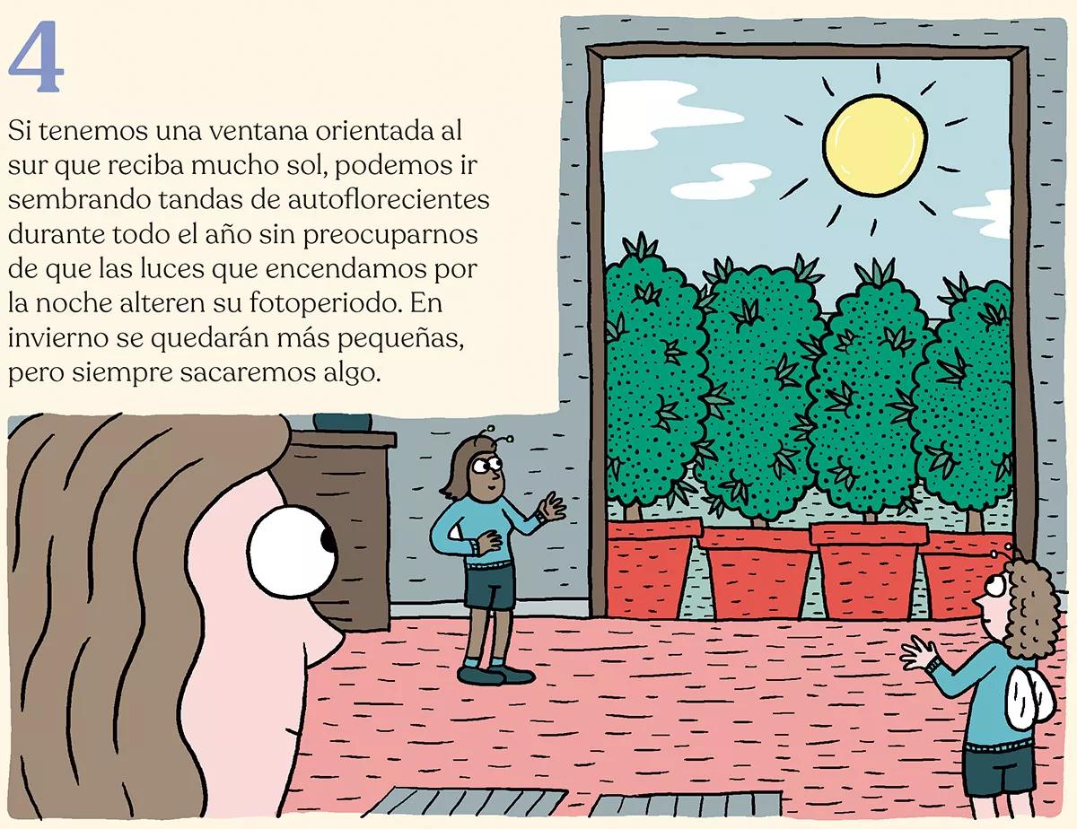 Diez trucos para planificar la temporada de cultivo