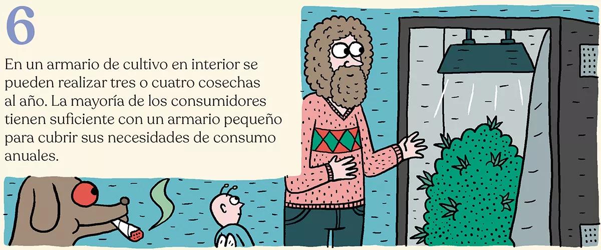 Diez trucos para planificar la temporada de cultivo