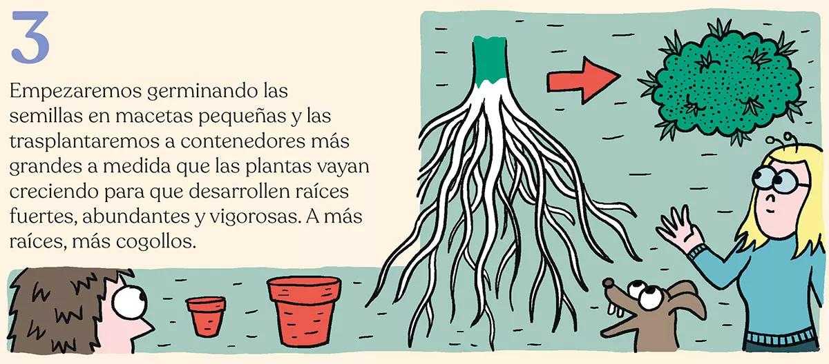 Los diez trucos de experto para cultivadores novatos