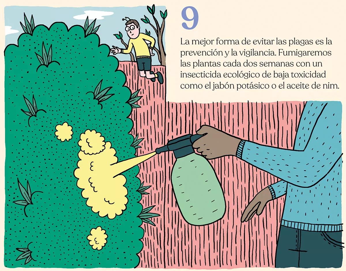 Nueve trucos para acelerar el crecimiento