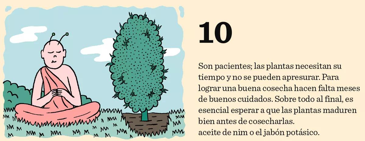 10. Son pacientes; las plantas necesitan su tiempo y no se pueden apresurar. Para lograr una buena cosecha hacen falta meses de buenos cuidados. Sobre todo al final, es esencial esperar a que las plantas maduren bien antes de cosecharlas.
