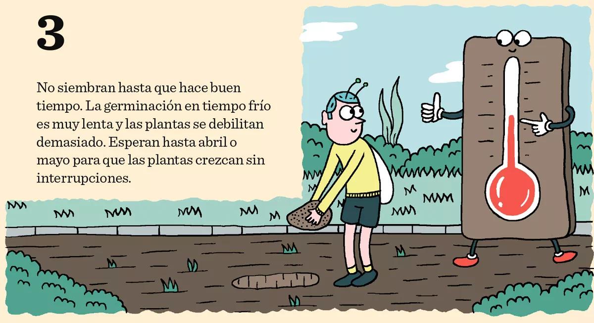 3. No siembran hasta que hace buen tiempo. La germinación en tiempo frío es muy lenta y las plantas se debilitan demasiado. Esperan hasta abril o mayo para que las plantas crezcan sin interrupciones.