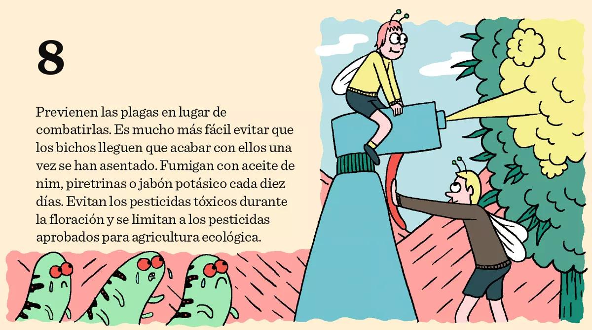 8. Previenen las plagas en lugar de combatirlas. Es mucho más fácil evitar que los bichos lleguen que acabar con ellos una vez se han asentado. Fumigan con aceite de nim, piretrinas o jabón potásico cada diez días. Evitan los pesticidas tóxicos durante la floración y se limitan a los pesticidas aprobados para agricultura ecológica.