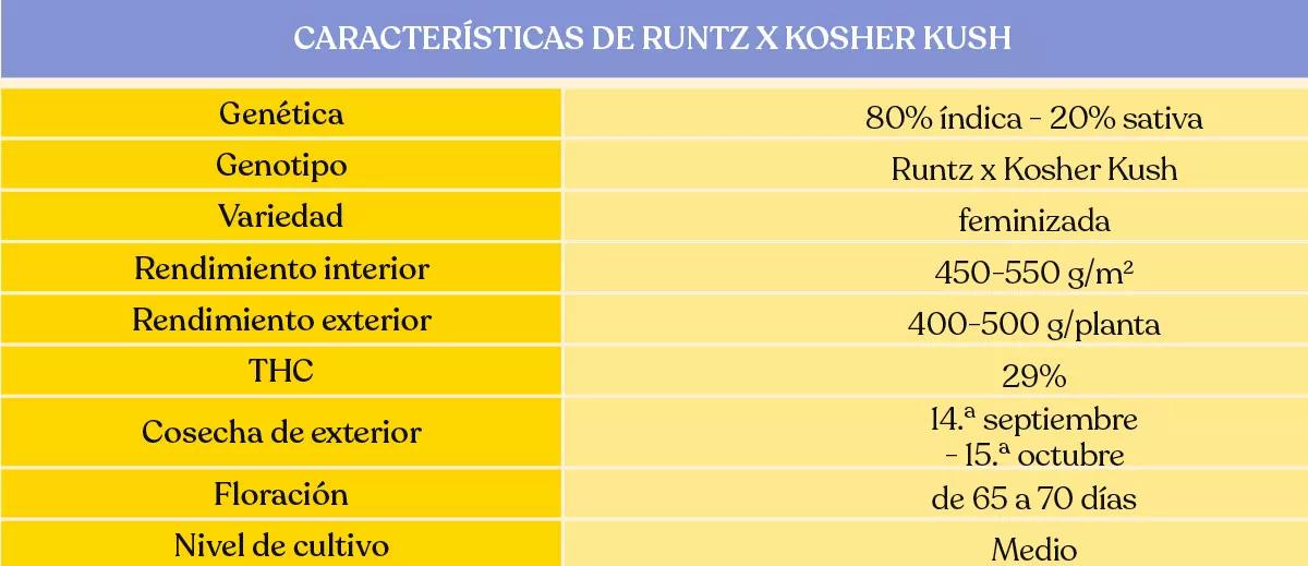 Runtz x Kosher Kush