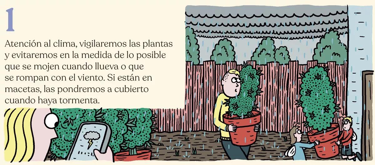 La cosecha perfecta en diez pasos: consejos y trucos de experto